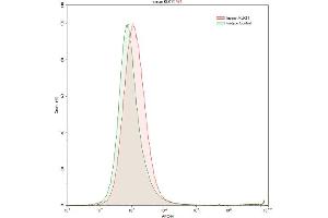 Detection of KLK11 in K562 human chronic myelogenous leukemia cell line using Polyclonal Antibody to Kallikrein 11 (KLK11) (Kallikrein 11 抗体  (AA 39-282))