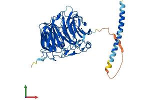 Protein Structure (PS) image for Coronin, Actin Binding Protein, 1C (CORO1C) (AA 1-474) protein (His tag) (ABIN7556284)