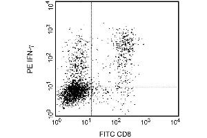 Expression of IFN-gamma by stimulated CD8+ and CD8-BALB/c spleen cells. (Interferon gamma 抗体)