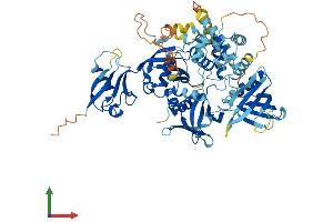 AlphaFold protein structure predicition of Human Recombinant FERMT1 Protein, UniprotID Q9BQL6