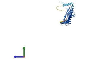Protein Structure (PS) image for ER Lipid Raft Associated 2 (ERLIN2) (AA 1-340) protein (His tag) (ABIN7558512)