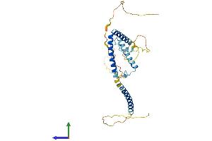 Protein Structure (PS) image for Hexamthylene Bis-Acetamide Inducible 2 (HEXIM2) (AA 1-313) protein (His tag) (ABIN7557093)