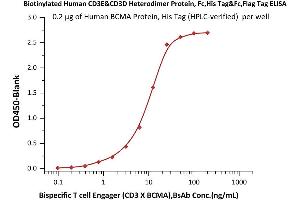 Immobilized Human BCMA Protein, His Tag (Hied) (Cat.