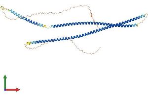 Protein Structure (PS) image for Keratin 83 (KRT83) (AA 1-493) protein (His tag) (ABIN7548997)