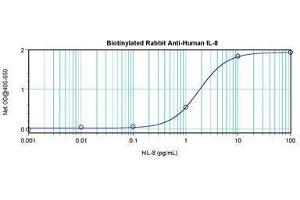 Image no. 1 for anti-Interleukin 8 (IL8) antibody (Biotin) (ABIN465817) (IL-8 抗体  (Biotin))