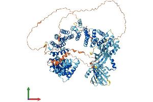 Protein Structure (PS) image for Adaptor-Related Protein Complex 4, epsilon 1 Subunit (AP4E1) (AA 1-1137) protein (His tag) (ABIN7552168)