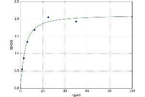 A typical standard curve (OVA sIgE ELISA 试剂盒)