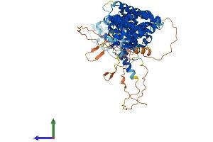 Protein Structure (PS) image for RRN3 RNA Polymerase I Transcription Factor (RRN3) (AA 1-656) protein (His tag) (ABIN7562052)