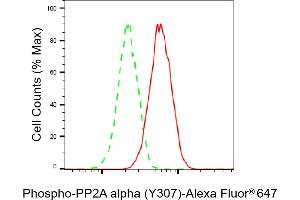 Flow cytometric analysis of Phospho-PP2A alpha (Y307) expression in HAP-1 cells using Phospho-PP2A alpha (Y307) antibody (ABIN7800021), 1:2,000).