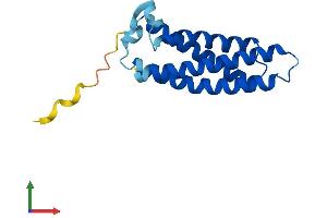 Protein Structure (PS) image for Mal, T-Cell Differentiation Protein-Like (Mall) (AA 1-153) protein (His tag) (ABIN7549317)