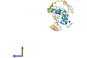 Protein Structure (PS) image for Zinc Finger Protein 740 (ZNF740) (AA 1-193) protein (His tag) (ABIN7545355)