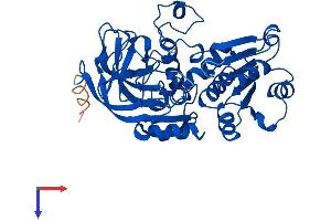 ADH7 Protein (AA 1-386) (His tag)