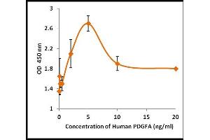 Activity Assay (AcA) image for Platelet Derived Growth Factor A (PDGFA) (Active) protein (ABIN5509326) (PDGFA 蛋白)