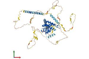 Protein Structure (PS) image for Epsin 1 (EPN1) (AA 1-575) protein (His tag) (ABIN7558367)