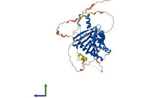 AlphaFold protein structure predicition of Mouse Recombinant Fam83a Protein, UniprotID Q8K2P2 (FAM83A Protein (AA 1-436) (His tag))