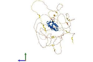 Protein Structure (PS) image for Forkhead Box N1 (FOXN1) (AA 1-648) protein (His tag) (ABIN7553958)