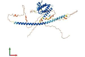 Protein Structure (PS) image for RUN Domain Containing 3A (RUNDC3A) (AA 1-446) protein (His tag) (ABIN7562170)