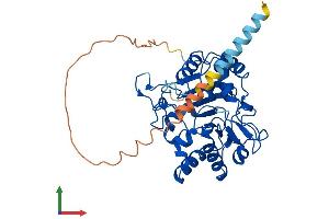 Protein Structure (PS) image for ST8 alpha-N-Acetyl-Neuraminide alpha-2,8-Sialyltransferase 2 (ST8SIA2) (AA 1-375) protein (His tag) (ABIN7562364)