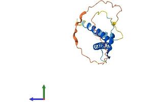 Protein Structure (PS) image for Fer3-Like (FERD3L) (AA 1-166) protein (His tag) (ABIN7547721)