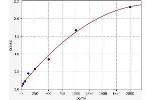Chemokine (C-C Motif) Ligand 17 (CCL17) ELISA Kit