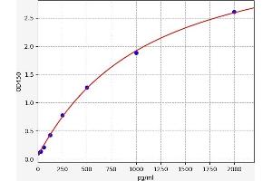 NFATC1 ELISA 试剂盒