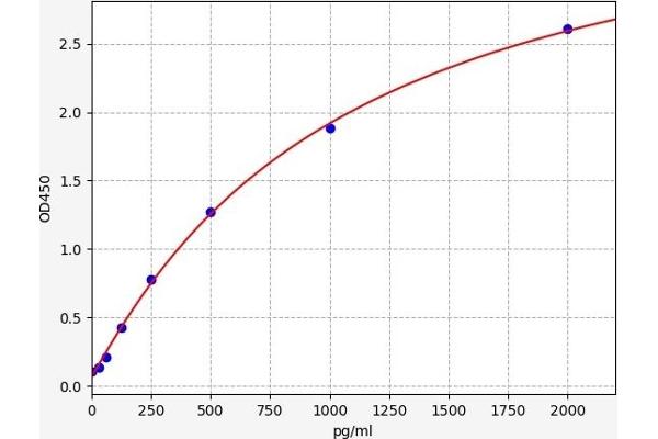 NFATC1 ELISA 试剂盒