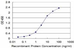 Detection limit for recombinant GST tagged FXN is approximately 0. (Frataxin 抗体  (AA 91-200))