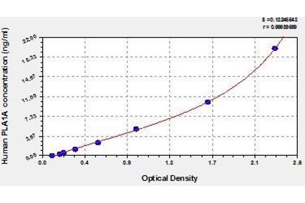 PLA1A ELISA 试剂盒