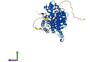 Protein Structure (PS) image for Dihydropyrimidinase-Like 3 (DPYSL3) (AA 1-570) protein (His tag) (ABIN7547257)