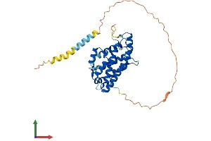 AlphaFold protein structure predicition of Mouse Recombinant Gltpd2 Protein, UniprotID Q8K0R6