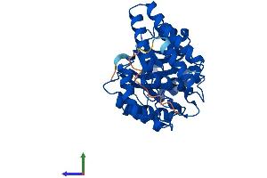 Protein Structure (PS) image for N-Acetylneuraminate Pyruvate Lyase (Dihydrodipicolinate Synthase) (NPL) (AA 1-320) protein (His tag) (ABIN7549815)