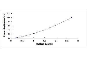 Typical standard curve (NNMT ELISA 试剂盒)