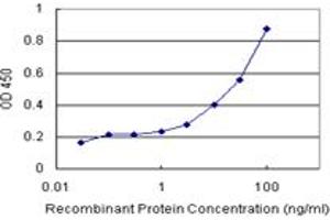 Sandwich ELISA detection sensitivity ranging from 1 ng/mL to 100 ng/mL. (PGM3 (人) Matched Antibody Pair)
