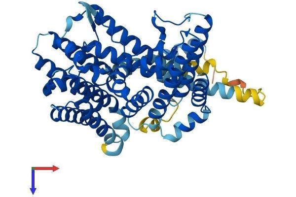 PORCN Protein (AA 1-461) (His tag)