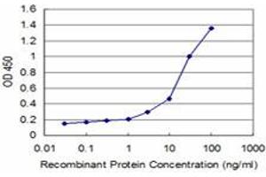 Detection limit for recombinant GST tagged HD is approximately 0. (Huntingtin 抗体  (AA 81-190))