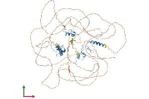 AlphaFold protein structure predicition of Human Recombinant ATXN7L1 Protein, UniprotID Q9ULK2 (ATXN7L1 Protein (AA 1-861) (His tag))