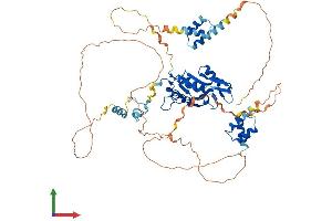 Protein Structure (PS) image for Zinc Finger CCCH-Type Containing 12A (ZC3H12A) (AA 1-599) protein (His tag) (ABIN7556063)