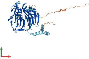 Protein Structure (PS) image for Kelch Domain Containing 2 (KLHDC2) (AA 1-406) protein (His tag) (ABIN7548954)