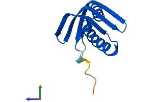 Protein Structure (PS) image for General Transcription Factor IIA, 2, 12kDa (GTF2A2) (AA 1-109) protein (His tag) (ABIN7558459)