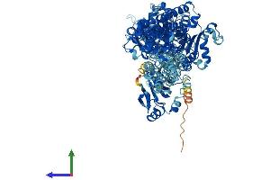 AlphaFold protein structure predicition of Mouse Recombinant Atp1a3 Protein, UniprotID Q6PIC6