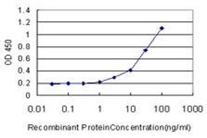 Detection limit for recombinant GST tagged PTK7 is approximately 1ng/ml as a capture antibody. (PTK7 抗体  (AA 36-145))