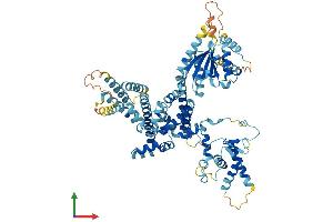 AlphaFold protein structure predicition of Human Recombinant ORC3 Protein, UniprotID Q9UBD5 (ORC3 Protein (AA 1-711) (His tag))