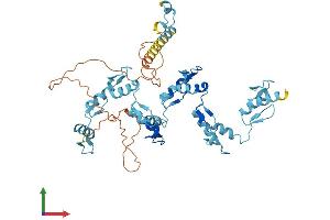 Protein Structure (PS) image for Zinc Finger Protein 563 (ZNF563) (AA 1-476) protein (His tag) (ABIN7545564)