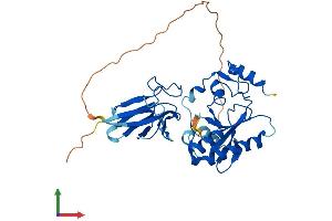 Protein Structure (PS) image for Aprataxin (APTX) (AA 1-342) protein (His tag) (ABIN7558269)