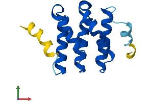 AlphaFold protein structure predicition of Human Recombinant STAG3L3 Protein, UniprotID P0CL85