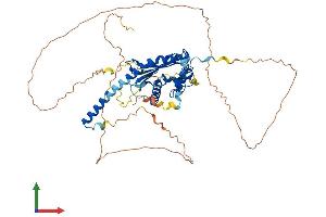 Protein Structure (PS) image for Nucleosome Assembly Protein 1-Like 3 (NAP1L3) (AA 1-544) protein (His tag) (ABIN7558187)