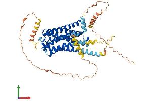 Protein Structure (PS) image for Cannabinoid Receptor 1 (CNR1) (AA 1-472) protein (His tag) (ABIN7546663)