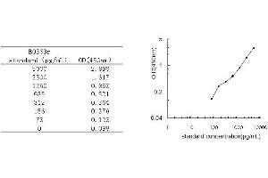 ELISA image for Interleukin 1, beta (IL1B) ELISA Kit (ABIN578836)