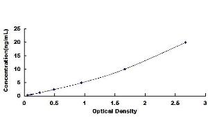 Typical standard curve (SMAD4 ELISA 试剂盒)