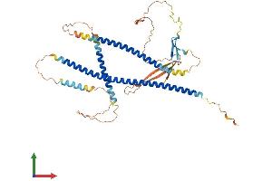 Protein Structure (PS) image for Spermatid Associated (SPERT) (AA 1-446) protein (His tag) (ABIN7557025)